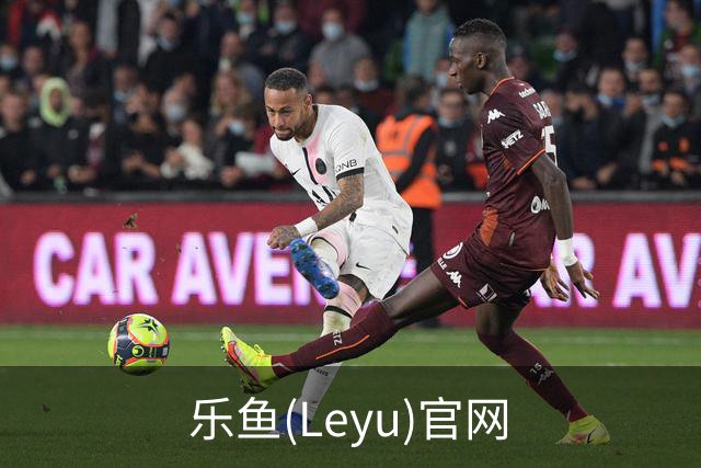 乐鱼(Leyu)官网公司简介
